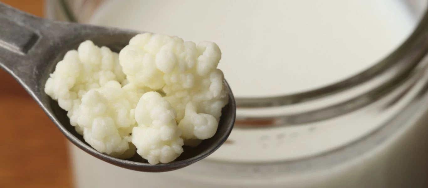 Aυτή είναι η τροφή που χαρίζει μακροζωία